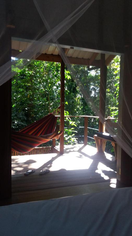 Jungle Paunch Villa Bocas del Toro Exterior photo