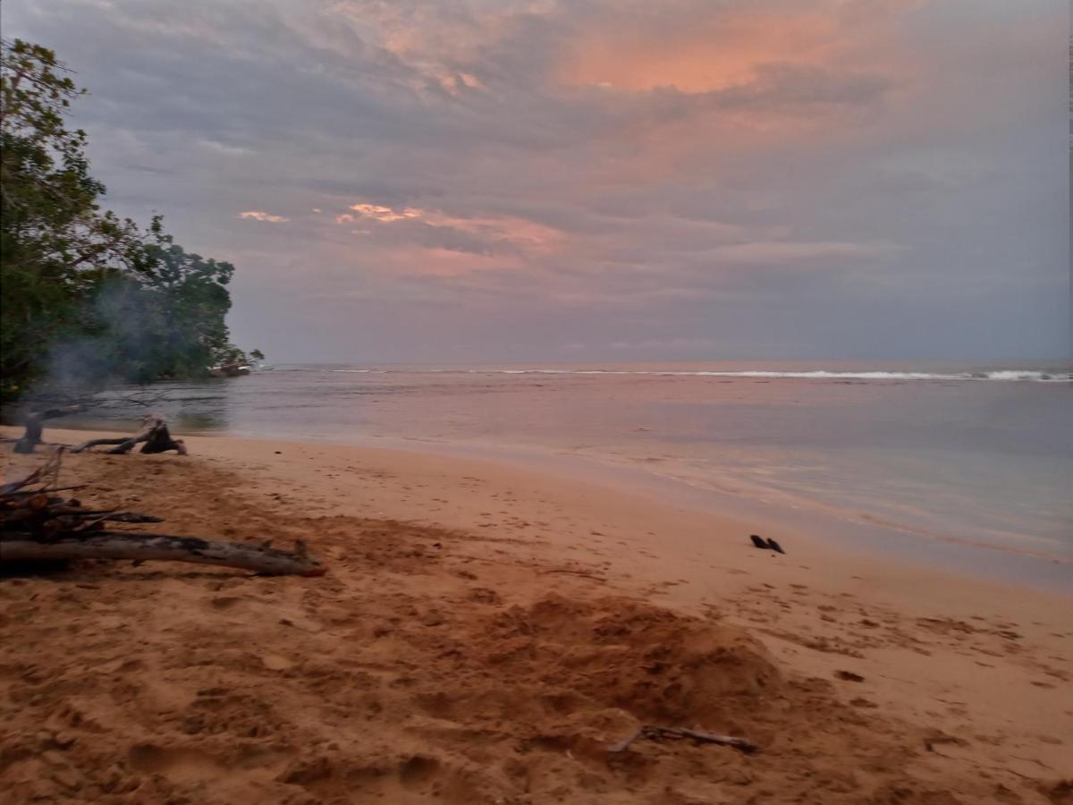 Jungle Paunch Villa Bocas del Toro Exterior photo