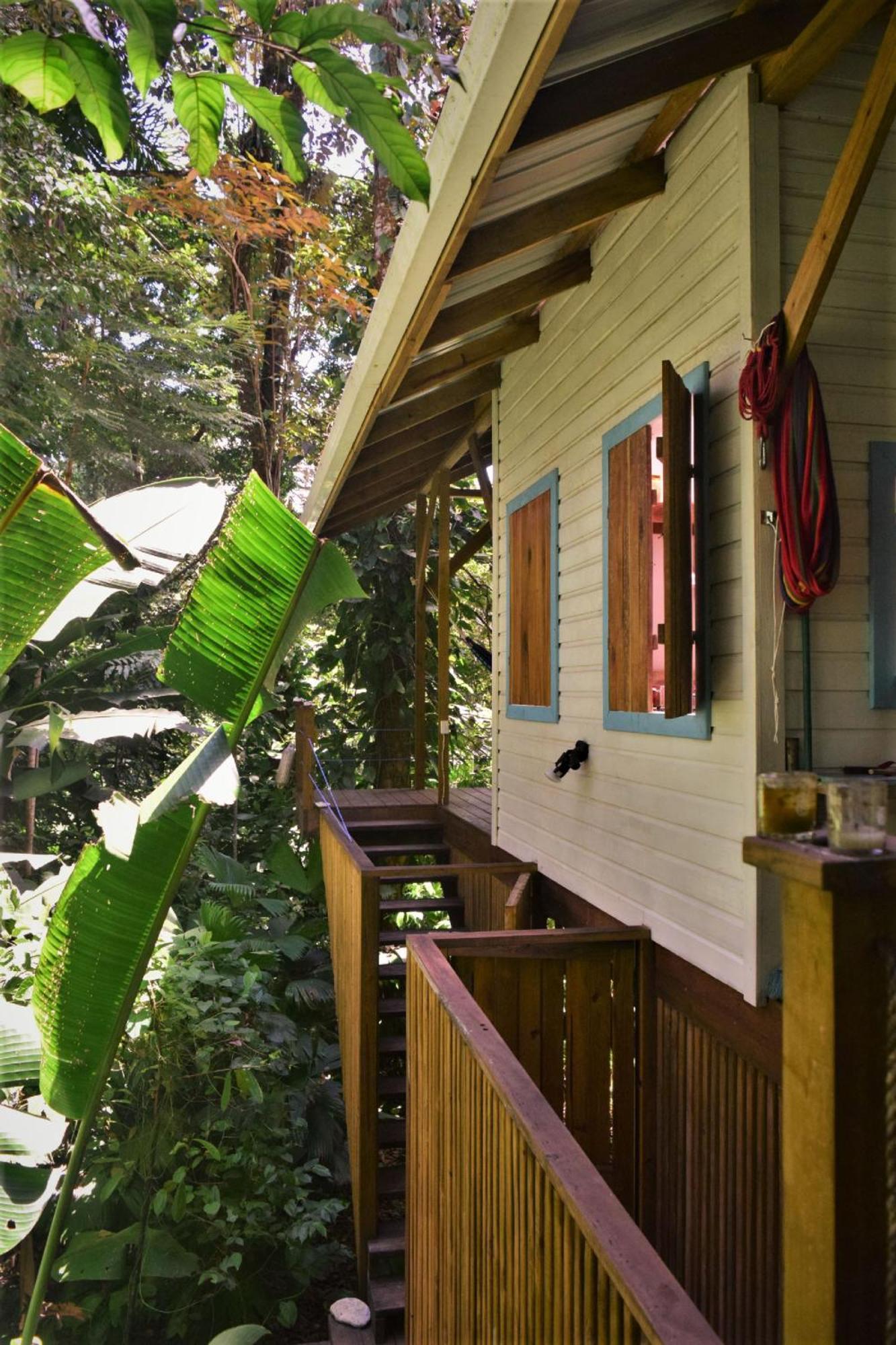 Jungle Paunch Villa Bocas del Toro Exterior photo